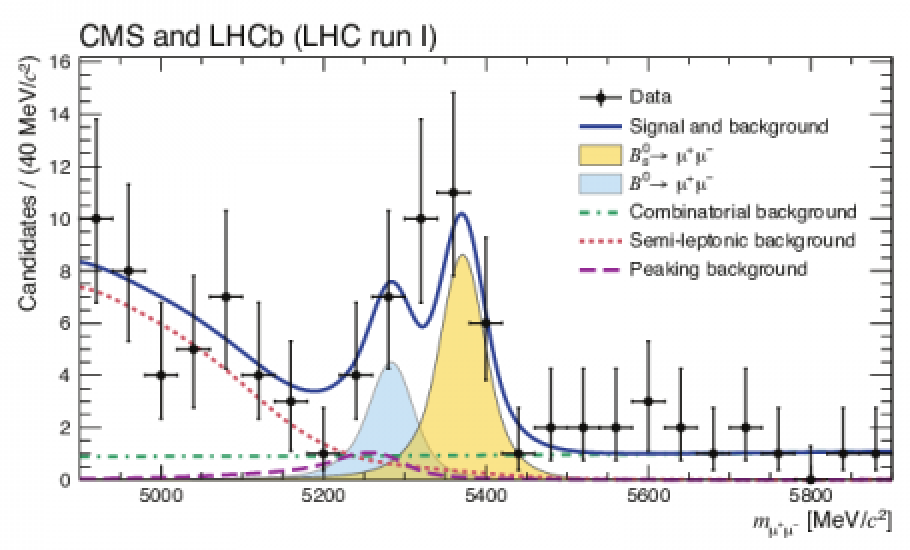 CMS LHCb